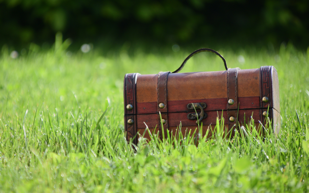 Backyard Treasure