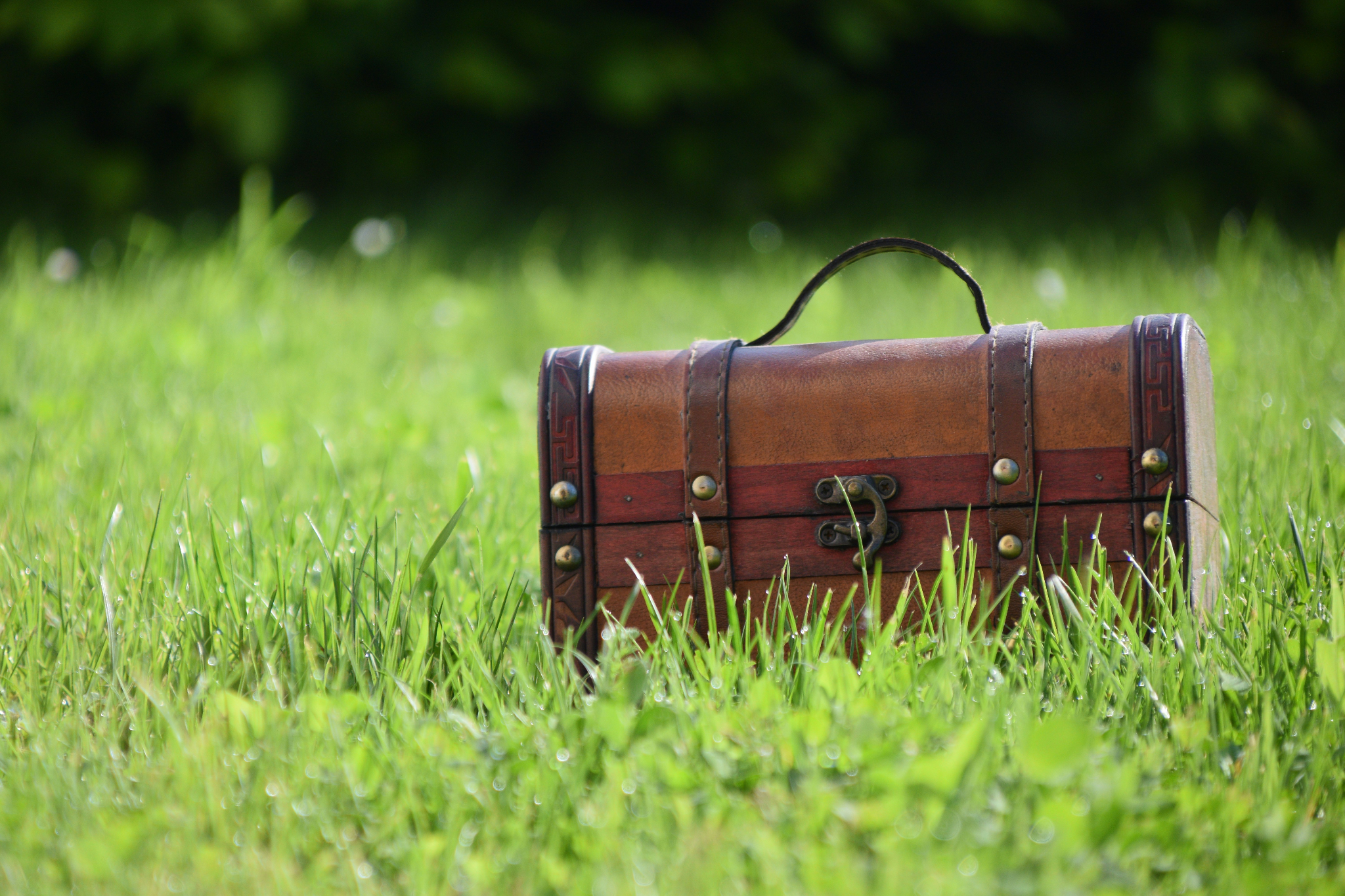 backyard-treasure
